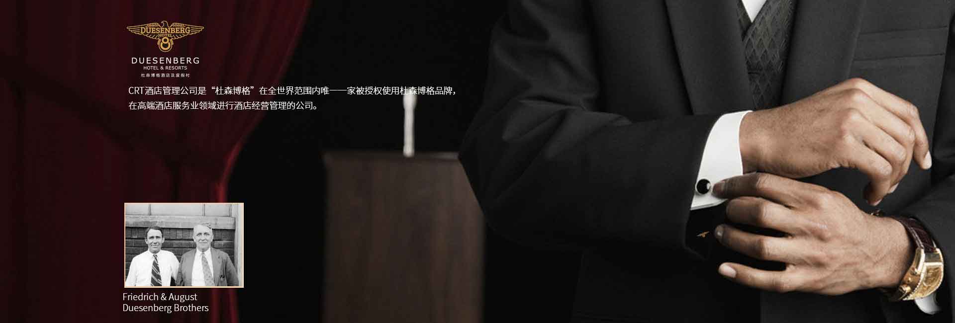 CRT品牌規劃設計公司客戶案例-碧桂園，vi設計圖、logo設計、標志商標設計、品牌策劃等